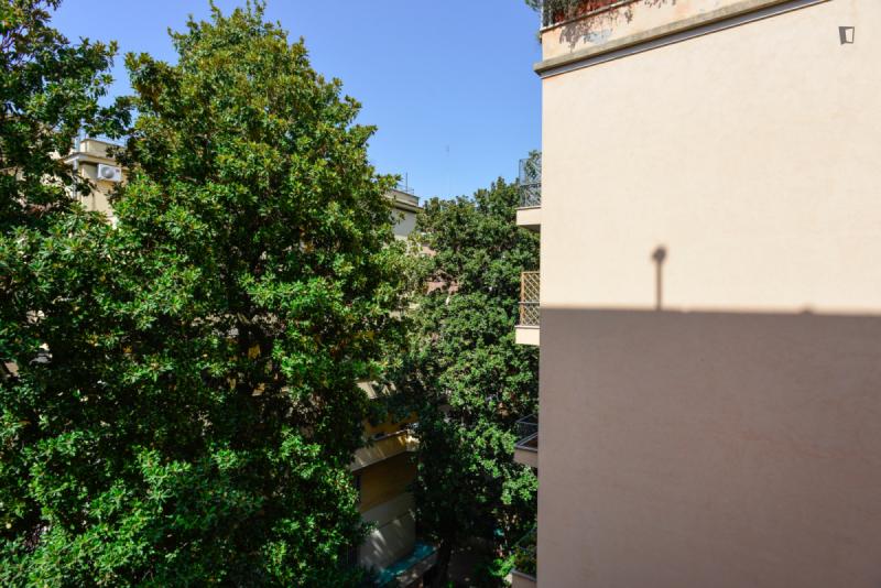 Inviting single bedroom near the Acqua Acetosa train station