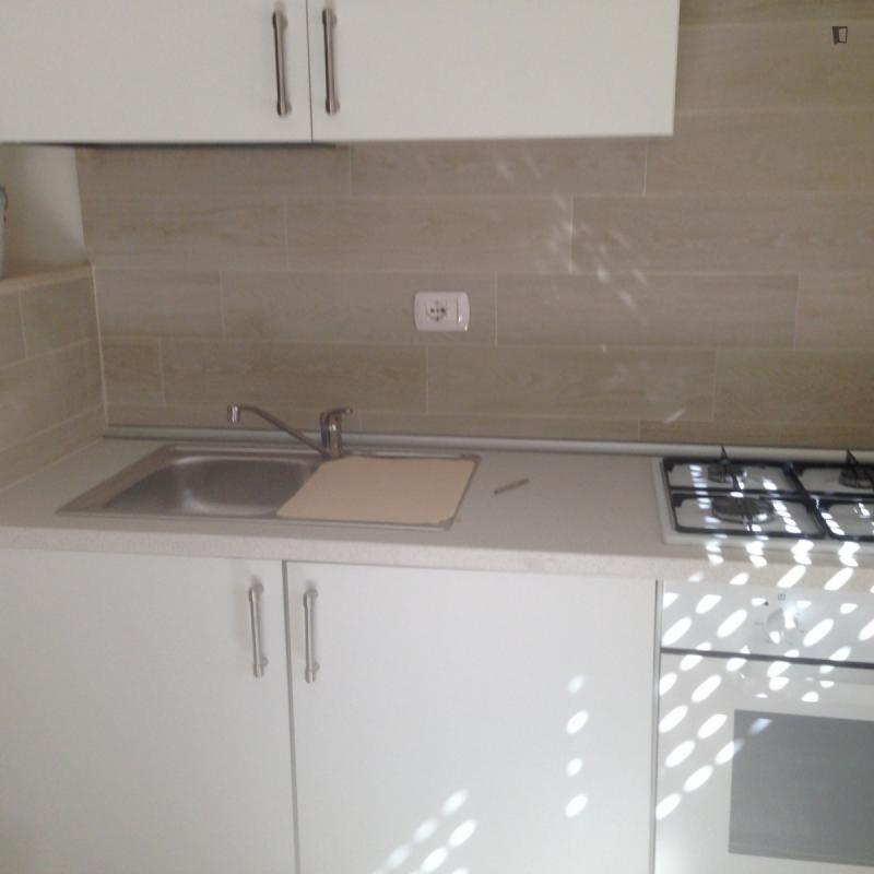 1-Bedroom apartment near Pinturicchio tram stop
